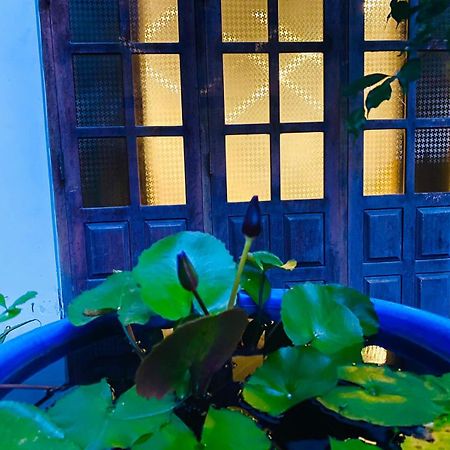 Sachi'S Place Тангалла Экстерьер фото